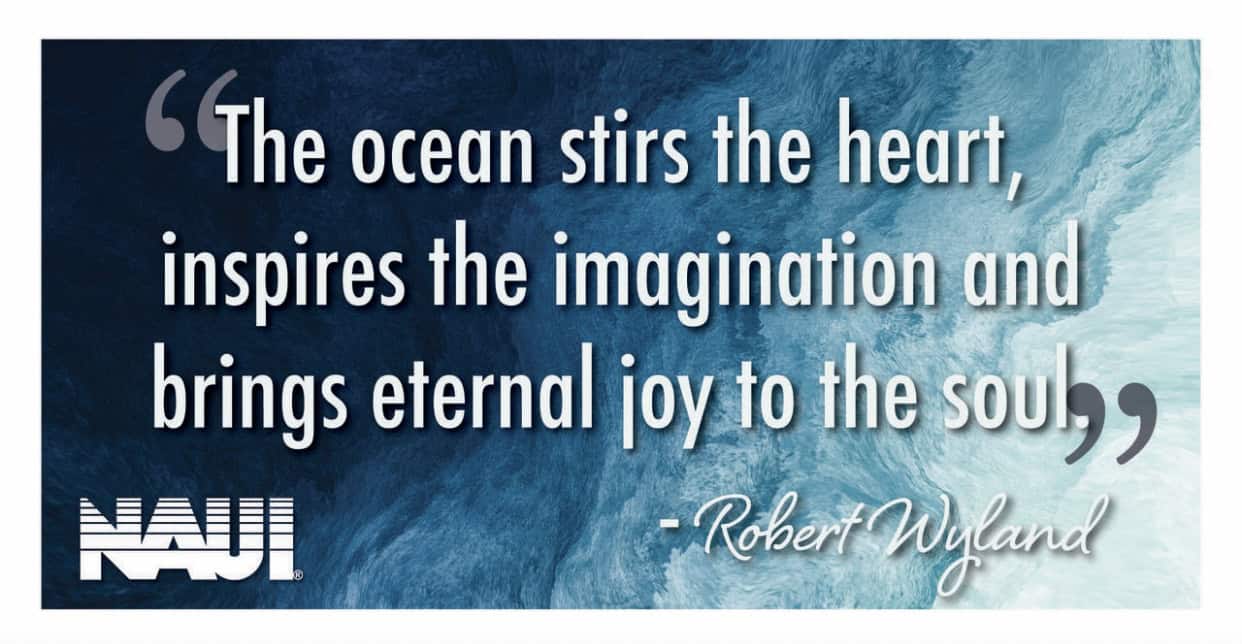 The Ocean Stirs the heart inpires the imgination and brings eternal joy to the soul
